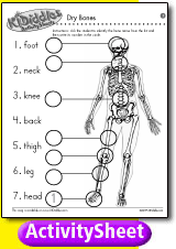 [activity sheet]