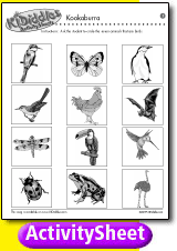 [activity sheet]